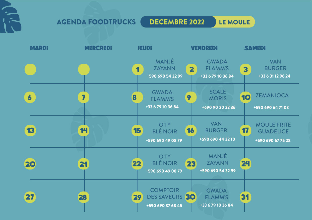AGENDA---DECEMBRE